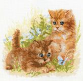 1391 Детские забавы, Риолис