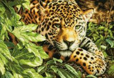 70-35300 Леопард (Leopard in Repose), Dimensions