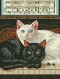 70-35269 Черный и белый (Ebony and Ivory), Dimensions