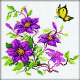M145 Клематисы (Clematis), RTO