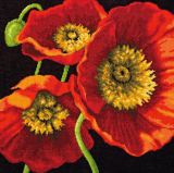 71-20073 Трио красных маков (Red Poppy Trio Pillow), Dimensions