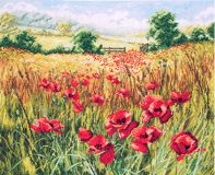 APC948 Полевые маки (Cornfield Poppies), Anchor