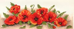 PCE722 Маки в ряд (Spray Of Poppies), Anchor