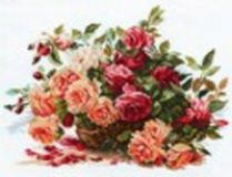 2-06 Розы, Алиса