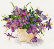 2-26 Крокусы, Алиса