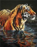35222 Купающийся тигр (Tiger Chilling Out), Dimensions
