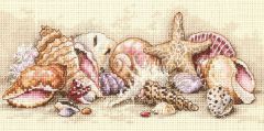 65035 Морские сокровища (Seashell Treasures), Dimensions