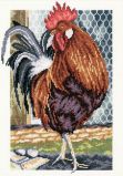 M350 Красавец-петух (Cock of the walk), RTO