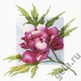 04.007.02 "Лиловый пион" по рисунку А.Майской, Марья Искусница