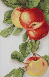 06.002.10 "Яблоки" по рисунку К. Кляйн, Марья Искусница