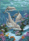 03830 Дельфинье царство (The Dolphins Domain), Dimensions