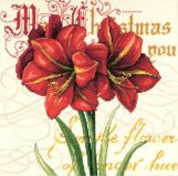 71-09148 Элегантный Амариллис (Elegant Amaryllis), Dimensions