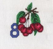 Д-0145 Цифра 8, PANNA