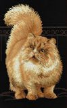 1152 Персидский кот, Риолис