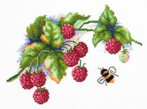 40-50 Ягода малина, Чудесная Игла