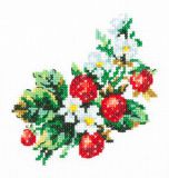 31-05 Земляничка, Чудесная Игла