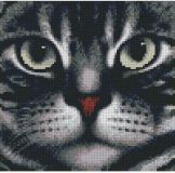 1085 Мордочка кота, Алмазная Мозаика