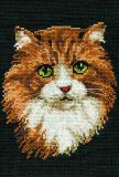 765 Рыжий кот, Риолис