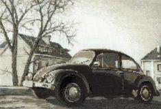 1177 Старая фотография. Жук, Риолис