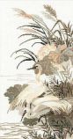 928 Цапли, Риолис