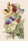 M522 Фиалка виттрока (Pansy), RTO