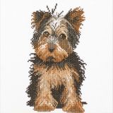 PN-0008286 Йоркширский терьер (Yorkshire terrier), Lanarte