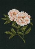 PN-0008338 Пионы на черном (Peonies on black), Lanarte