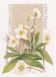 PN-0146538 Чисто белый (Pure White), Lanarte