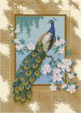 06870 Прекрасная птица (Beautiful Bird), Dimensions