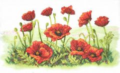 03237 Маковое Поле (Field of Poppies), Dimensions