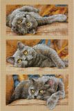 70-35301 Кот Макс (Max the Cat), Dimensions