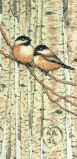 70-35277 Влюбленные пташки (Love Birds), Dimensions