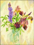 M178 Ирисы и люпины (Irises and Lupines), RTO
