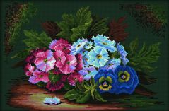 M230 Примула и анютины глазки (Primulas and Pansies), RTO