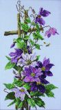 R189 Лиловые клематисы (Violet Clematis), RTO