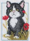 C057 Чёрный котёнок (Black Kitten), RTO