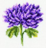 H166 Хризантема (Chrysanthemums), RTO