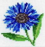 H171 Василёк (Cornflower), RTO