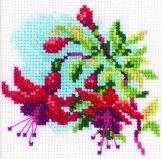 H174 Фуксия (Fuchsia), RTO