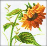 M082 Подсолнух (Sunflower), RTO