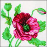 M083 Мак (Poppy), RTO