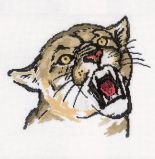 M093 Пума (Cougar), RTO
