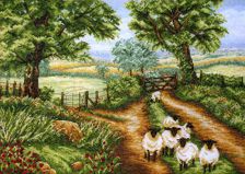 PCE948 Вниз по дороге (Down The Track), Anchor