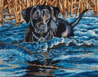 20071 Холодная вода - горячее сердце (Cold Water, Warm Heart), Dimensions