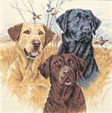 35096 Великолепные охотники (Great Hunting Dogs), Dimensions