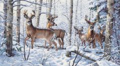 35130 Зимний лес (Woodland Winter), Dimensions