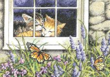 65051 Кошачья любовь (Feline love), Dimensions