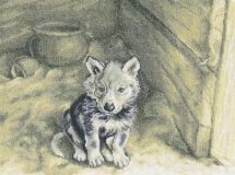 M333 Найденыш (Foundling), RTO