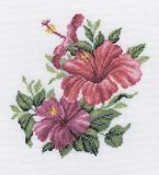 M375 Гибискус (Hibiscus), RTO