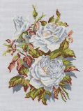 M407 Белые розы (White roses), RTO